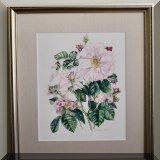 A11. Signed Elisabeth Blake pink rose print. 